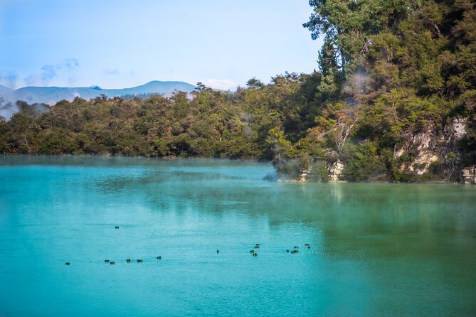 Devil's Bath Experience - Private Tour to Wai-O-Tapu & Lake Taupo - Tirau and the scenic “in-between” stops you actually notice