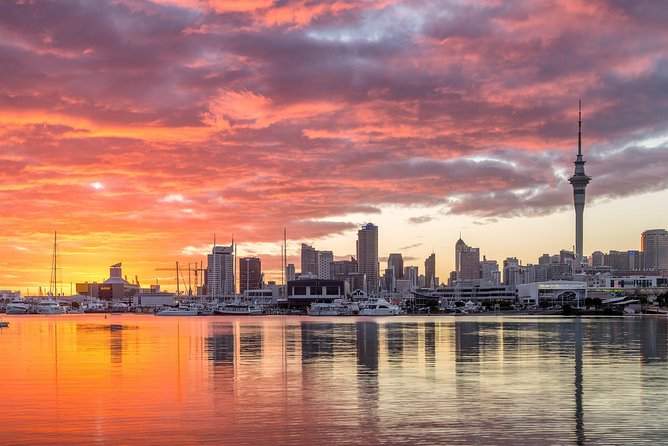 Discover Auckland City Tour: The City of Sails - One Tree Hill (Maungakiekie): 360° views in a tight window