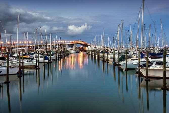 Discover Auckland City Tour: The City of Sails - Price and logistics: is $108.60 good value for 3 hours?