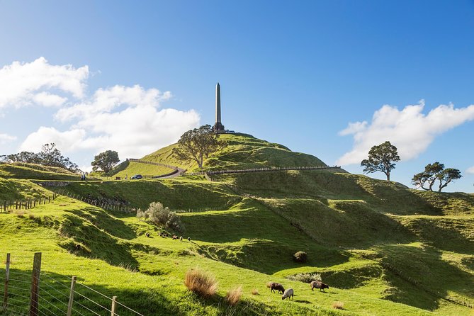 Discover Auckland City Tour: The City of Sails - What the included stops feel like in real life