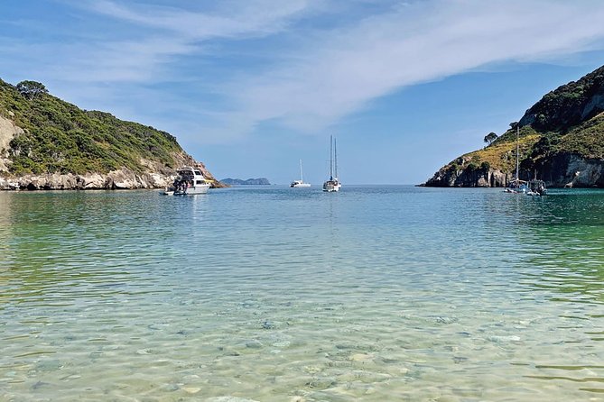 Exclusive Sailing Charter from Waiheke Island - Key things to know before you sail
