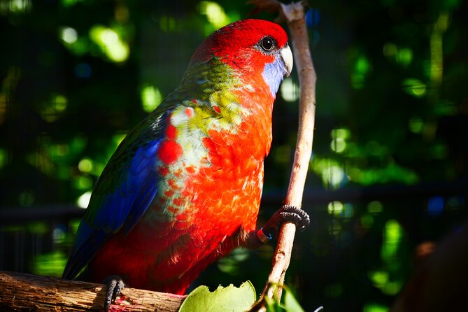 Explore gardens & galleries filled with incredible art, Matakana - Getting there from Auckland: easy day trip energy