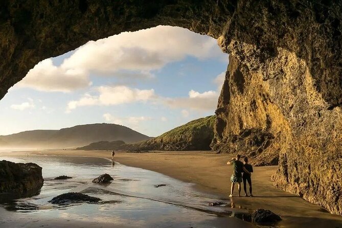 Explore West Auckland with Winery - Key highlights worth your attention