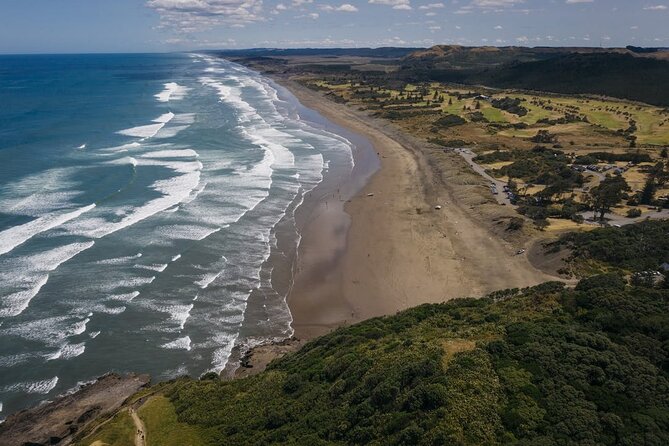 Explore West Auckland with Winery - Why West Auckland works so well in one guided morning-to-afternoon