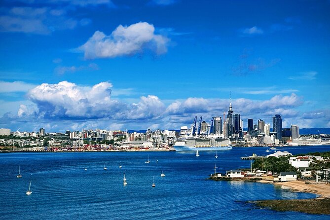 Explore West Auckland with Winery - Who this tour is best for (and who should think twice)