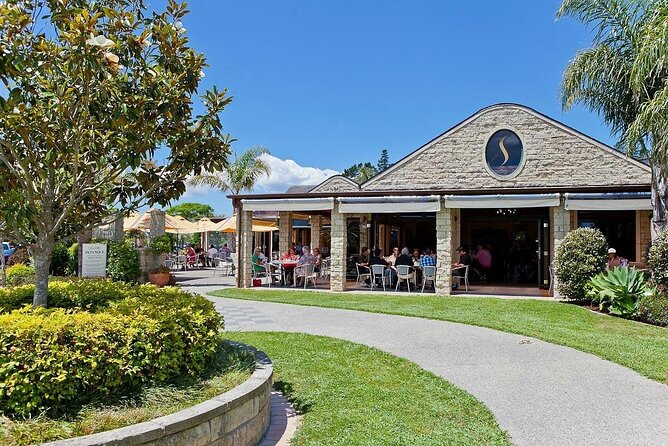 Explore West Auckland with Winery - Muriwai Beach: black-sand surf views with fast, high-impact timing