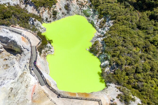 From Auckand: Waiotapu and Polynesian Spa Rotorua Day Tour - Price and value: what you’re paying for (and why it can be worth it)