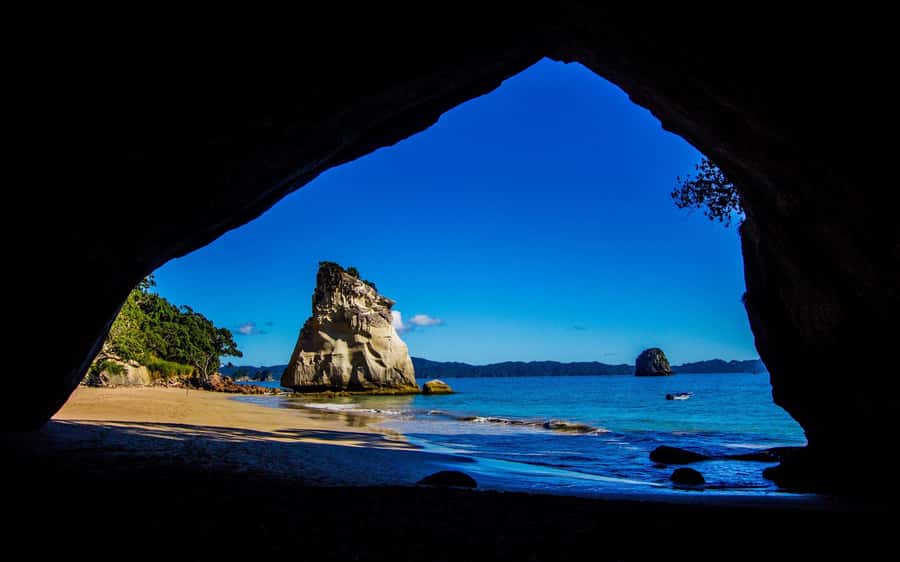 From Auckland: Cathedral Cove & Hot Water Beach Tour - Why this Auckland-to-Coromandel day trip is worth your time