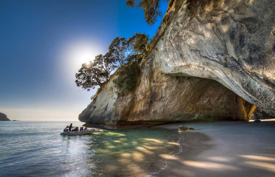 From Auckland: Cathedral Cove & Hot Water Beach Tour - The drive from Auckland: Waikato countryside, kauri forests, and built-in breaks