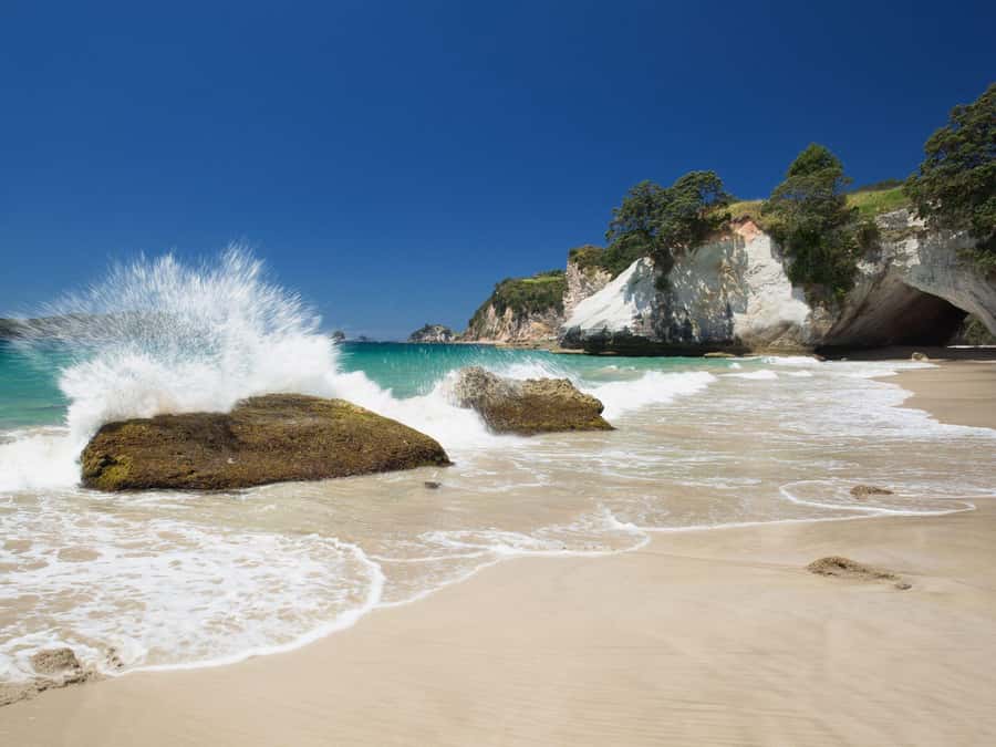 From Auckland: Cathedral Cove & Hot Water Beach Tour - Breaks along the way: using Hahei and Thames-Coromandel time well