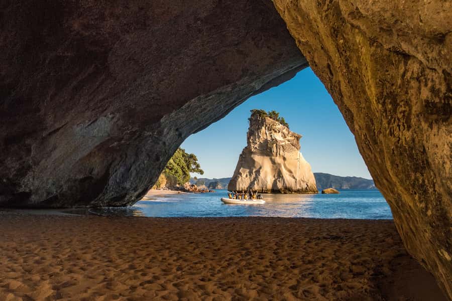From Auckland: Cathedral Cove & Hot Water Beach Tour - The café picnic lunch: how to eat well without slowing the day