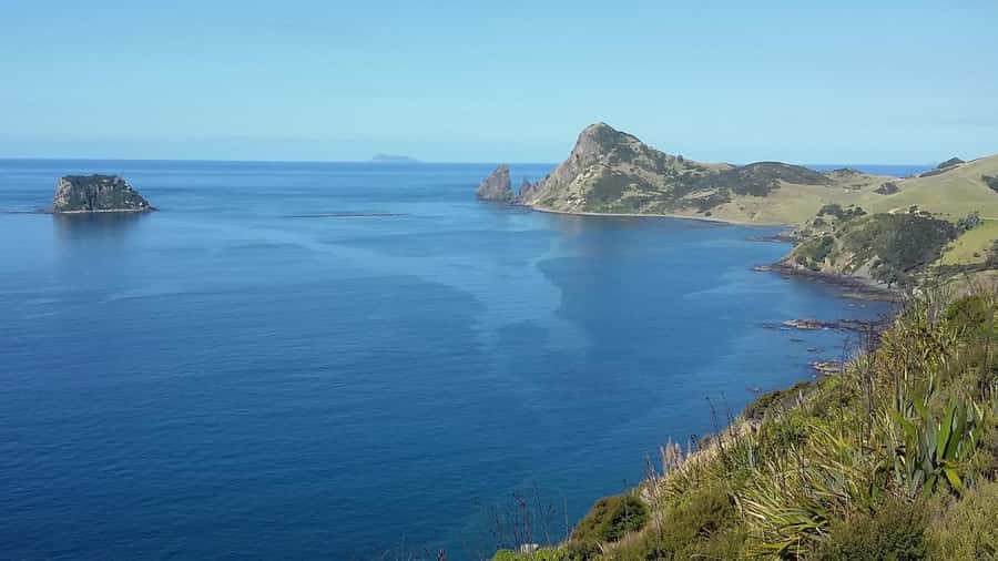 From Auckland: Cathedral Cove & Hot Water Beach Tour - Price and value: what you’re really paying for