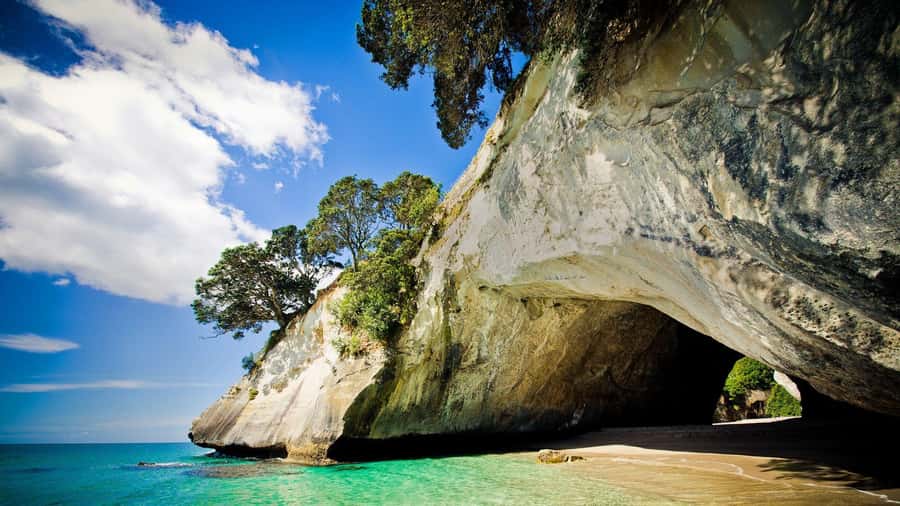 From Auckland: Cathedral Cove & Hot Water Beach Tour - Cathedral Cove Marine Reserve: Narnia arches and the real reason you wear swimwear