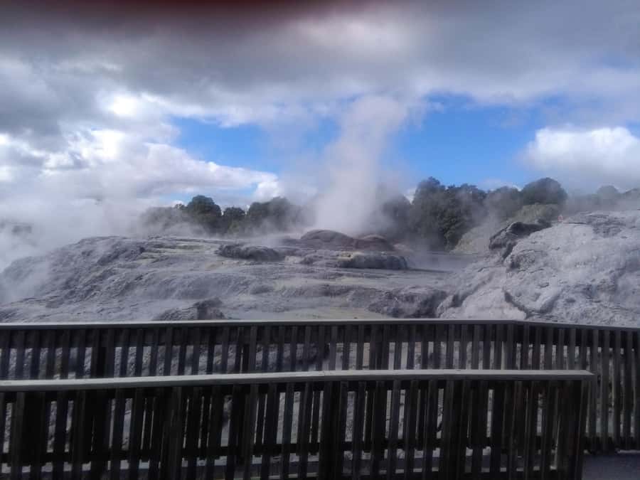 From Auckland: Day Trip to Rotorua with Optional extras - Te Puia and a hangi-style lunch that makes the culture part of your day
