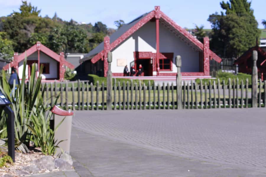 From Auckland: Day Trip to Rotorua with Optional extras - Meals, drinks, and the small details that affect your comfort