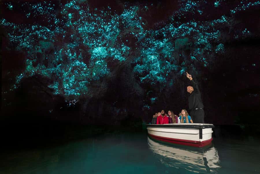 From Auckland: Day Trip to Waitomo Glow Worm Caves - Why Waitomo Glow Worms Feel So Magical on a Day Trip