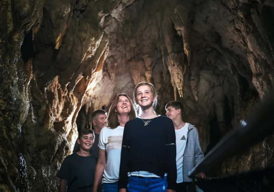From Auckland: Day Trip to Waitomo Glow Worm Caves - Price and Value: What You Get for $166