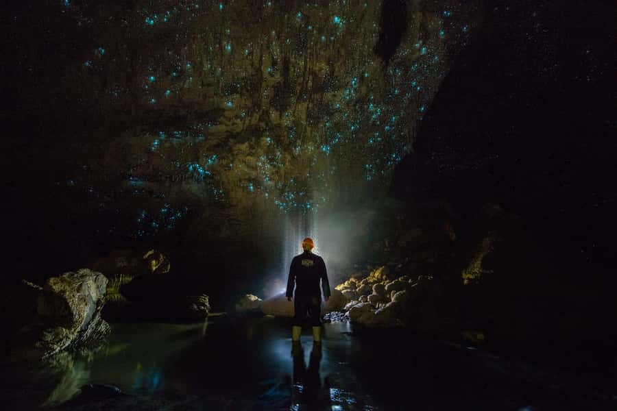 From Auckland: Day Trip to Waitomo Glow Worm Caves - The Guide Factor: From Dave and Nancy to John and Raymond