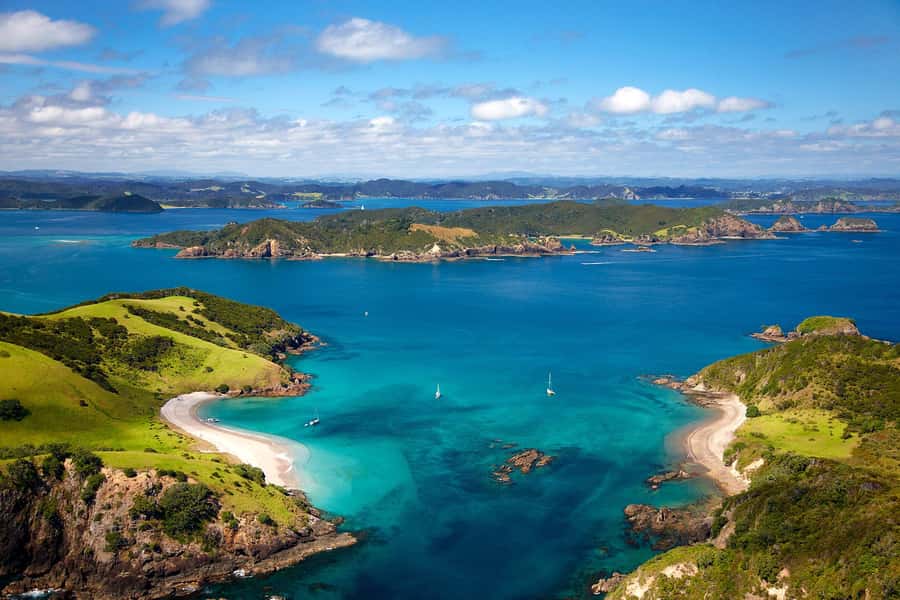From Auckland: Full-Day Tour to the Bay of Islands - Key highlights worth your attention