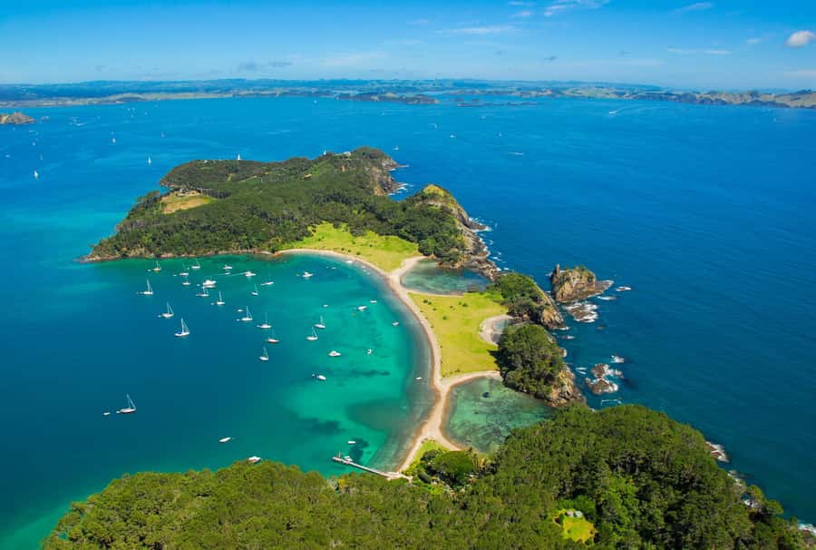From Auckland: Full-Day Tour to the Bay of Islands - Auckland to Paihia in a long, scenic chunk