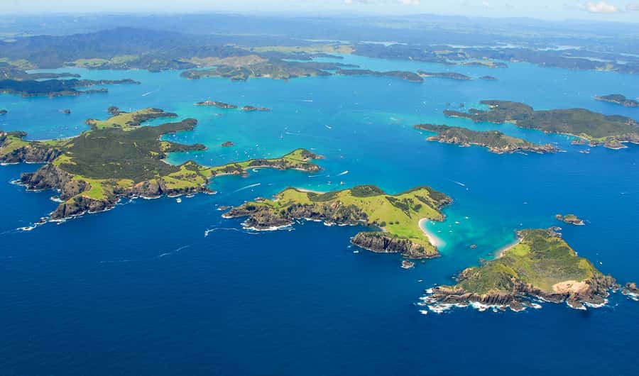 From Auckland: Full-Day Tour to the Bay of Islands - Hole in the Rock: the moment you remember in the car afterward