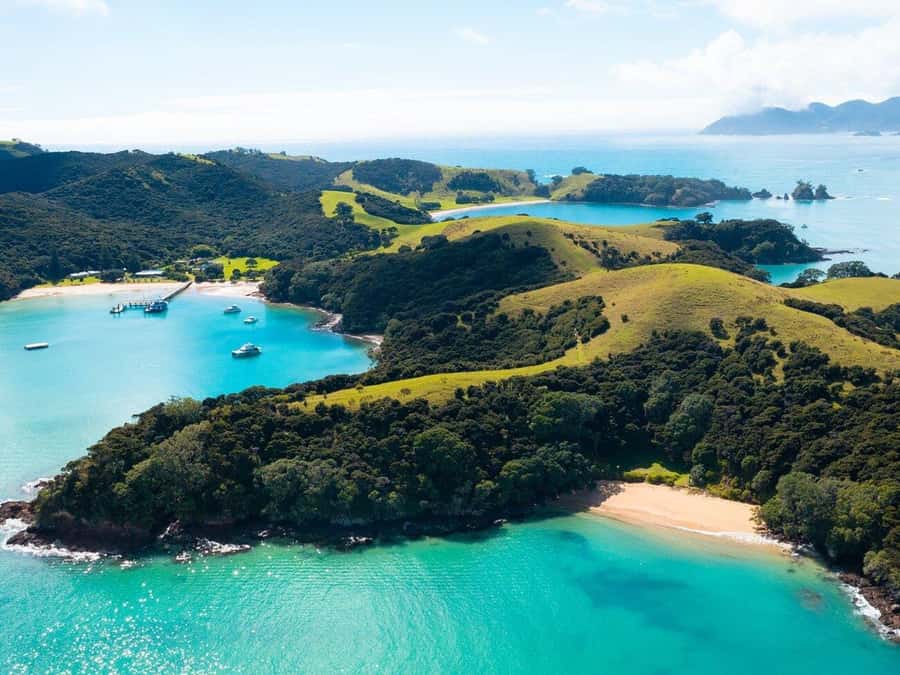 From Auckland: Full-Day Tour to the Bay of Islands - Urupukapuka Island: beach time and the summit option
