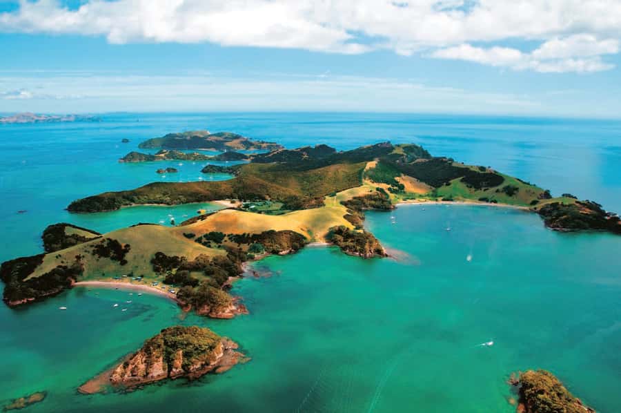 From Auckland: Full-Day Tour to the Bay of Islands - The return drive: what to do with the time you’re spending back in the van