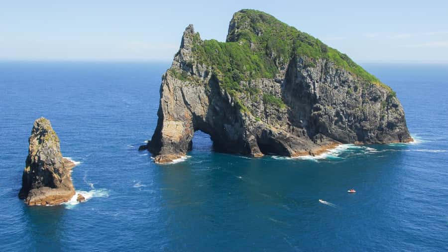 From Auckland: Full-Day Tour to the Bay of Islands - Price and value: why $274 can make sense for a one-day Bay of Islands fix