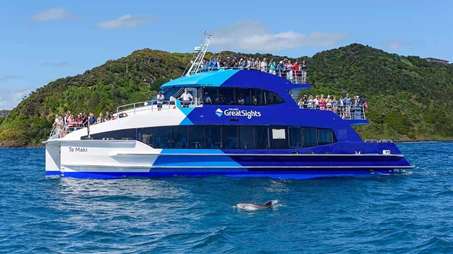 From Auckland: Full-Day Tour to the Bay of Islands - Who should book this Bay of Islands day trip from Auckland