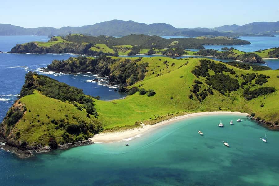 From Auckland: Full-Day Tour to the Bay of Islands - Catamaran cruise strategy: how dolphin spotting and Hole in the Rock fit together