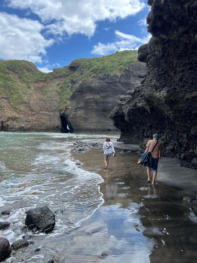 From Auckland: Guided Tour of Piha with Scenic Beach Walks - Key takeaways before you go