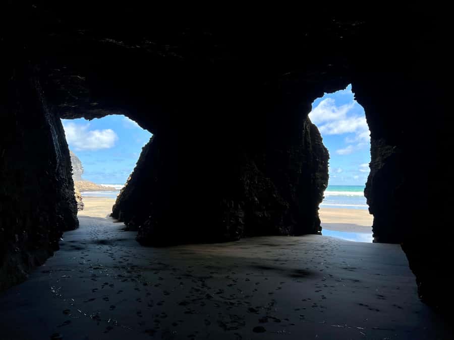 From Auckland: Guided Tour of Piha with Scenic Beach Walks - Who should book this Piha guided beach walk day trip