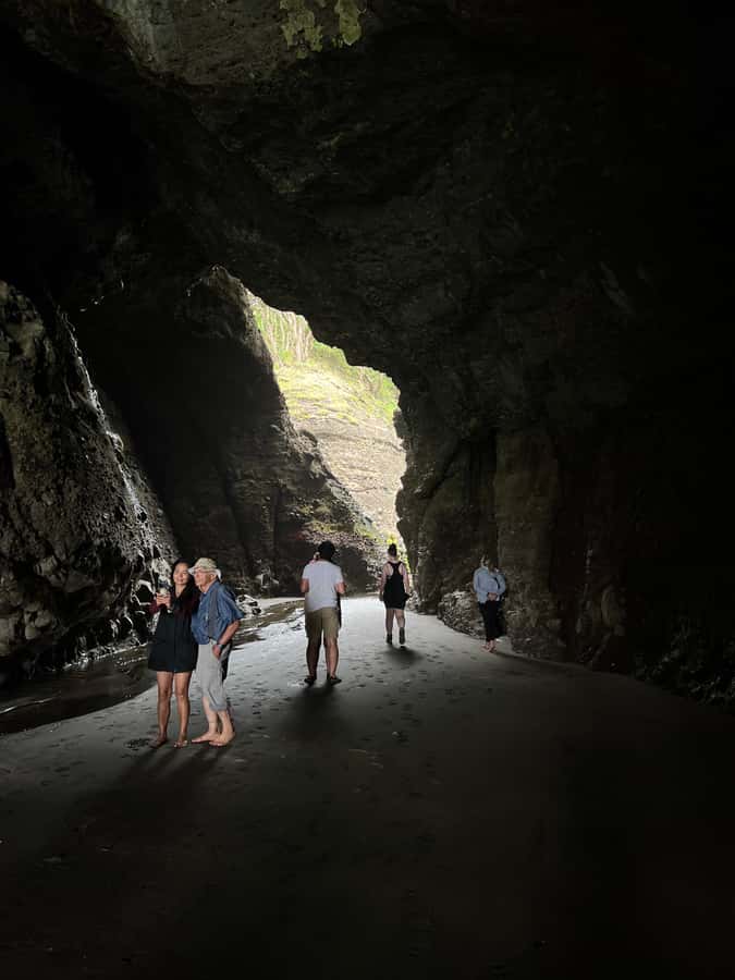 From Auckland: Guided Tour of Piha with Scenic Beach Walks - From Auckland to Piha in a Mercedes Sprinter: start relaxed, not stressed