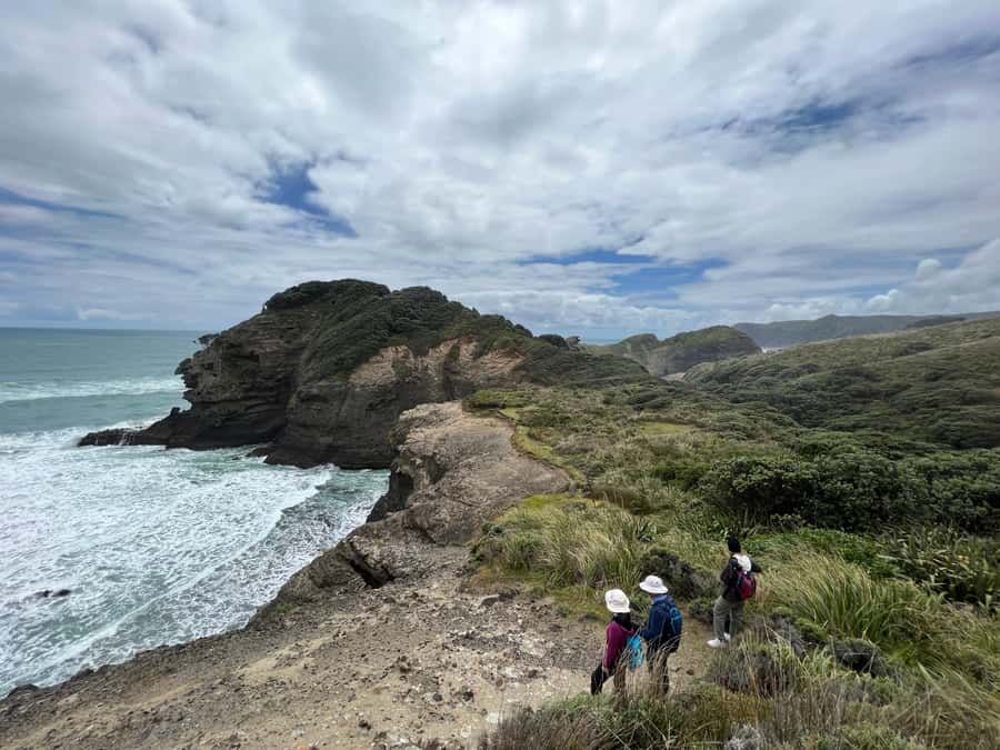 From Auckland: Guided Tour of Piha with Scenic Beach Walks - North Piha loop through native forest to the beach