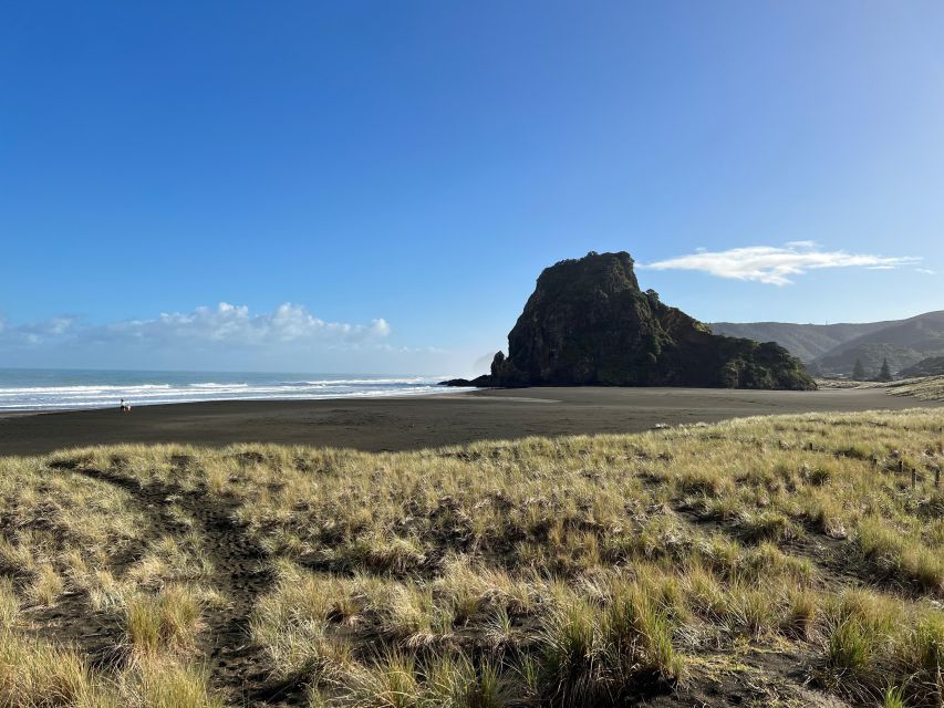 From Auckland: Guided Tour of Piha with Scenic Beach Walks - Wildlife odds: what you might spot near the coast