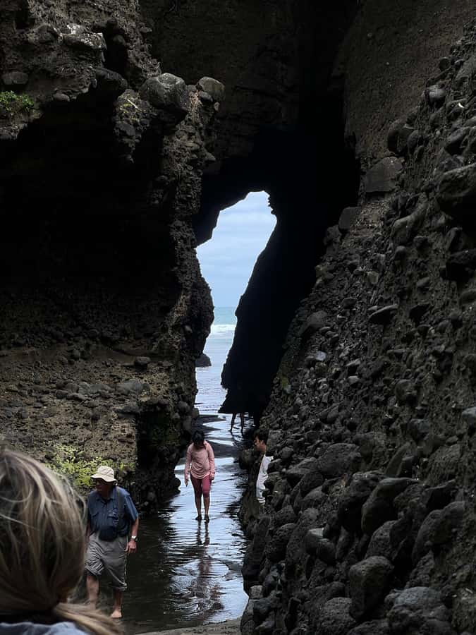From Auckland: Guided Tour of Piha with Scenic Beach Walks - Beachside picnic and the café pause that keeps the day human