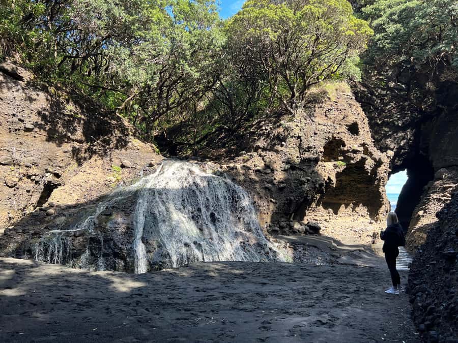 From Auckland: Guided Tour of Piha with Scenic Beach Walks - Why this feels like good value (not just a drive-by beach visit)