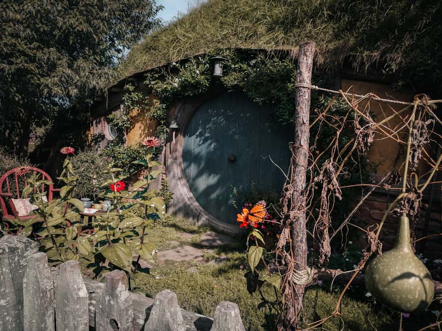 From Auckland: Hobbiton Afternoon Tour - Key Points I’d Plan Around
