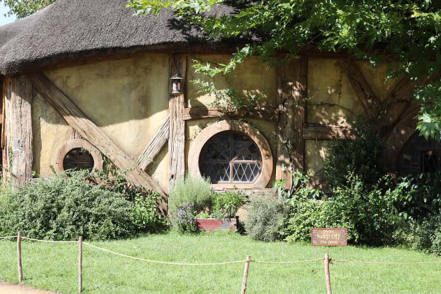 From Auckland: Hobbiton Afternoon Tour - The Waikato Drive: Cattle and Dairy Country in the Real World