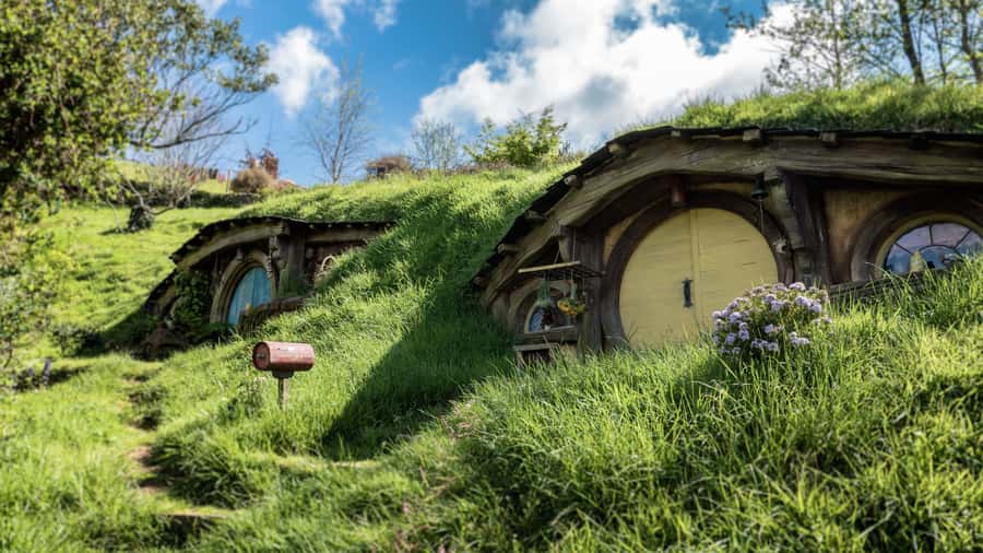 From Auckland: Hobbiton Afternoon Tour - Luxury Minibus Comfort: Fewer Seats, Better Chances of Feeling Human