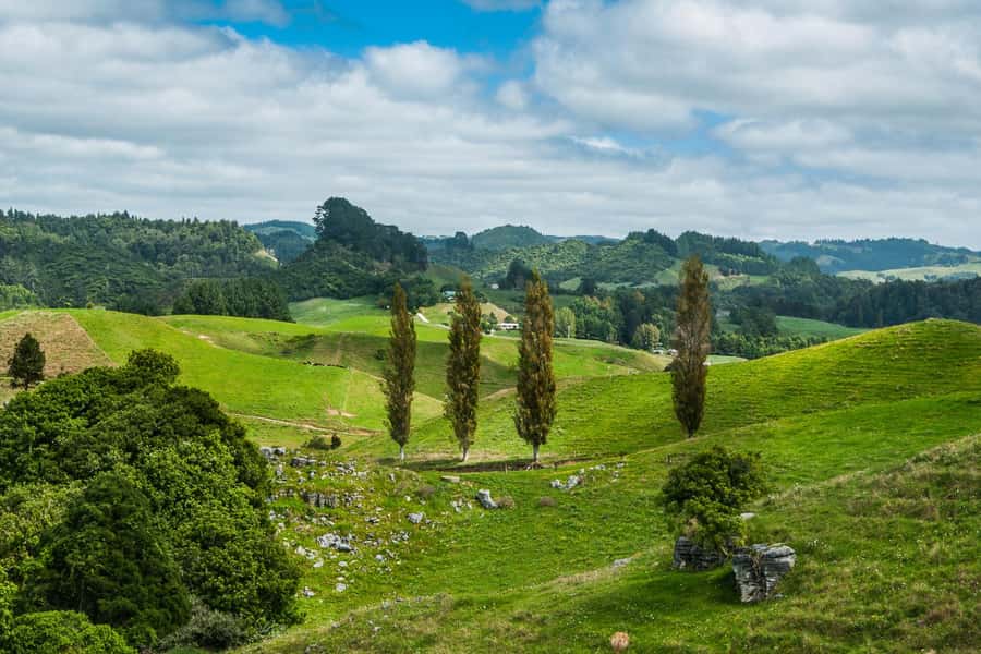 From Auckland: Hobbiton and Waitomo Day Tour with Lunch - Lunch and the Green Dragon Inn: value that feels intentional