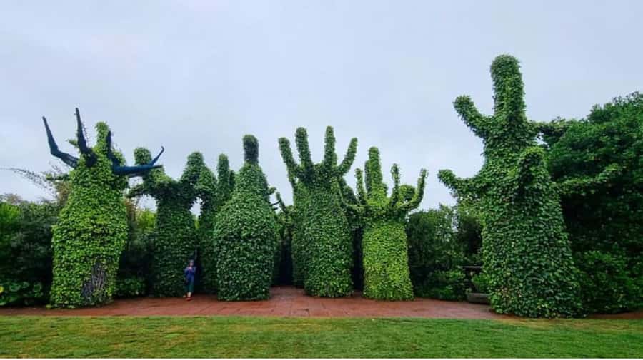 From Auckland: Hobbiton & Hamilton Gardens Small Group Tour - Hotel pickup to Hobbiton: how the drive sets the tone