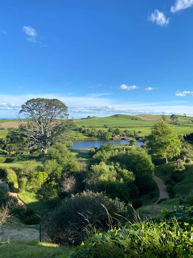 From Auckland: Hobbiton Movie Set - Private Tour - Green Dragon Inn toast: your complimentary Shire beverage