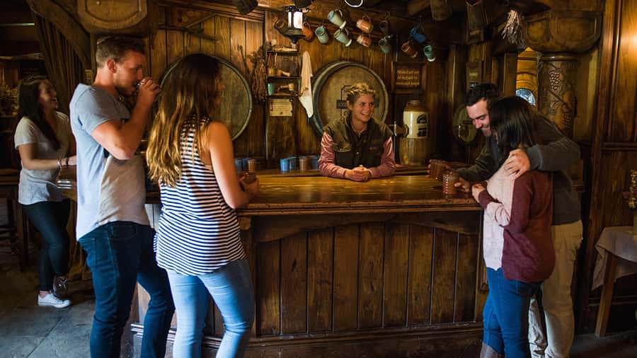 From Auckland: Hobbiton Movie Set Small Group Tour - Should you book this Hobbiton Movie Set small group tour?