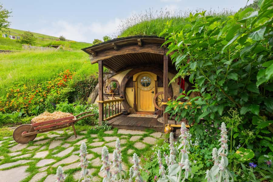 From Auckland: Hobbiton Movie Set Small Group Tour - Hobbiton guided tour: how the exterior sets feel like a movie scene