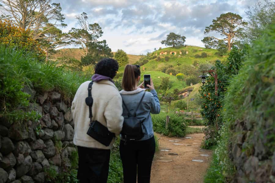 From Auckland: Hobbiton Movie Set Trip with Guided Tour - Getting to Hobbiton: the Mercedes van part that actually matters