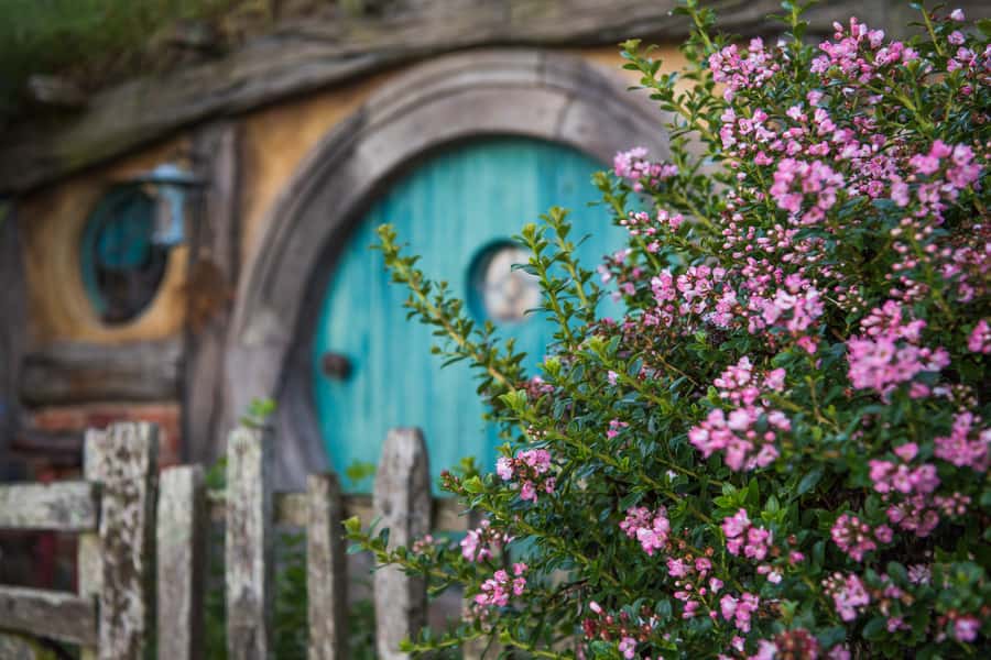 From Auckland: Hobbiton Movie Set Trip with Guided Tour - The return drive: how the day ends without feeling rushed