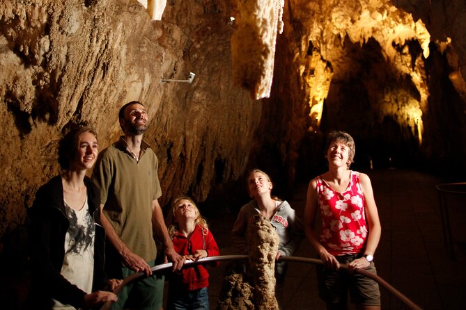 From Auckland:Hobbiton Movie Set & Waitomo Caves Small Group Tour - Waitomo Glowworm Caves: limestone shapes and a boat ride under the glowworms