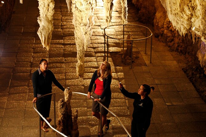 From Auckland:Hobbiton Movie Set & Waitomo Caves Small Group Tour - Hobbiton at Alexander Family Sheep Farm: 2.5 hours in the Shire