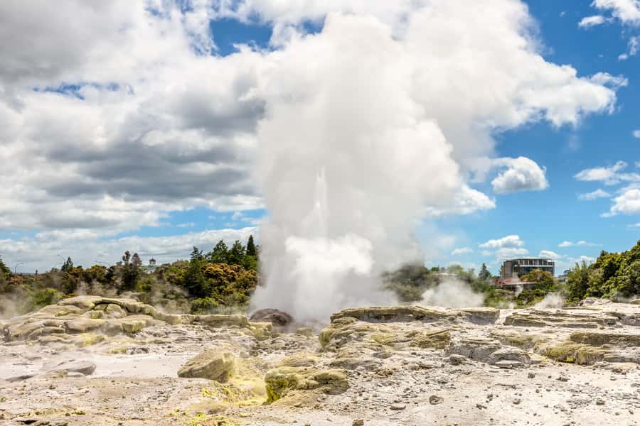 From Auckland: Hobbiton & Rotorua Tour with Lunch at Te Puia - The one-way Rotorua option: make it useful, not just convenient